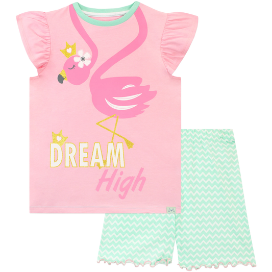 Girls' Flamingo Pyjama Set | Dream Big & Shine | 4-5 Years