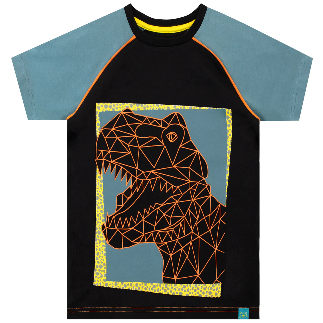 Boys' T-Rex Dinosaur Graphic T-Shirt | Bold & Trendy | 6-7 Years